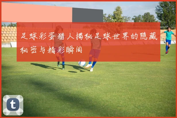 足球彩蛋猎人揭秘足球世界的隐藏秘密与精彩瞬间
