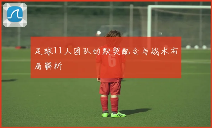 足球11人团队的默契配合与战术布局解析