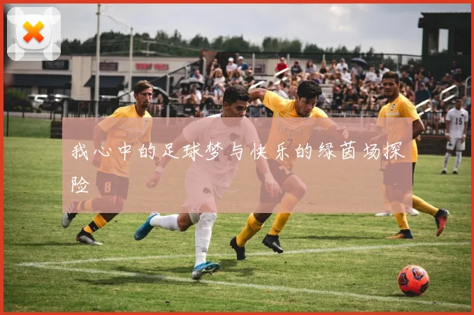 我心中的足球梦与快乐的绿茵场探险