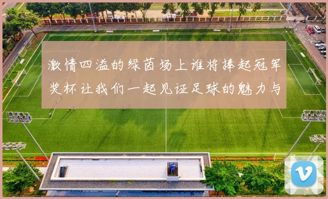 激情四溢的绿茵场上谁将捧起冠军奖杯让我们一起见证足球的魅力与荣耀