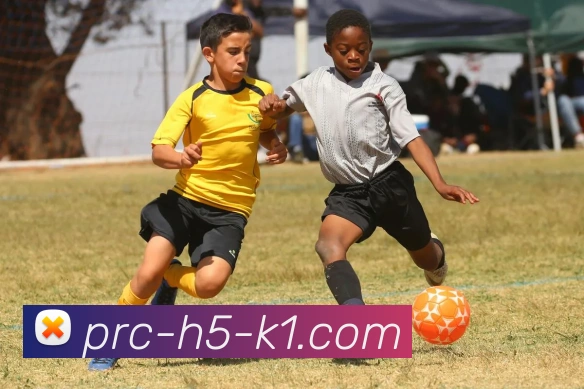 K1体育中国平台生态图